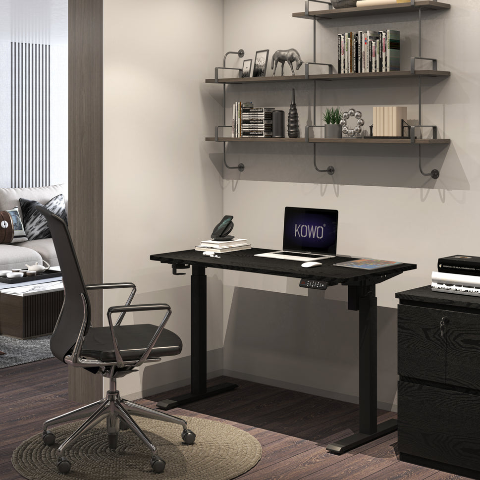 KOWO 48" K304 Electric Height Adjustable Standing Desk, Black