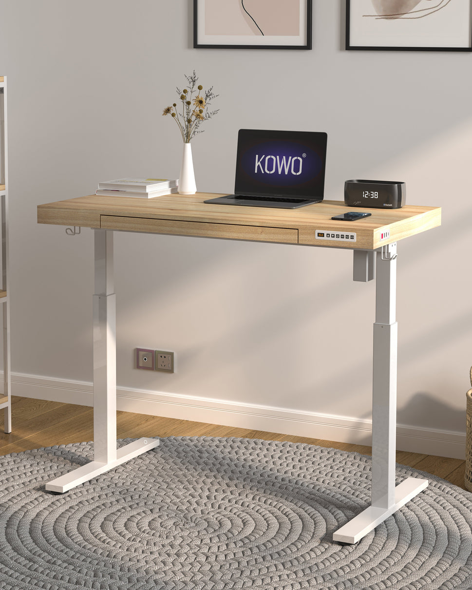 KOWO Electric Height Adjustable Standing Desk with Drawer, 48" Home Office Wooden Computer Desk Ergonomic Memory Control Workstation Sit Stand Desk, Natural/White