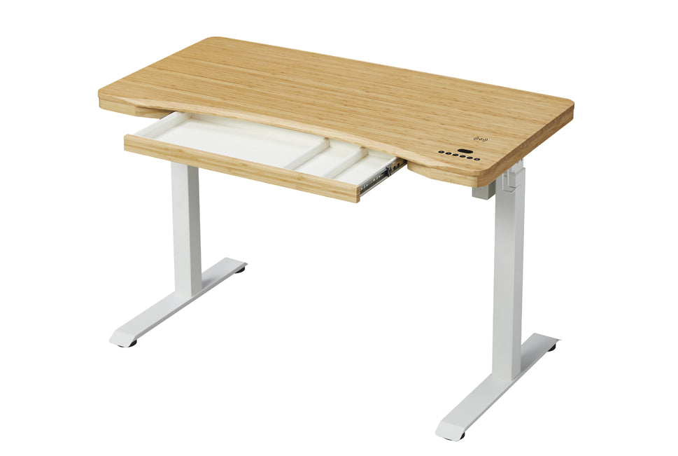 kowo 48" Solid Wood Electric Standing Desk with Drawers Integrated Wireless Charger, Bamboo Adjustable Height Home Office Computer Desk, Oak/White