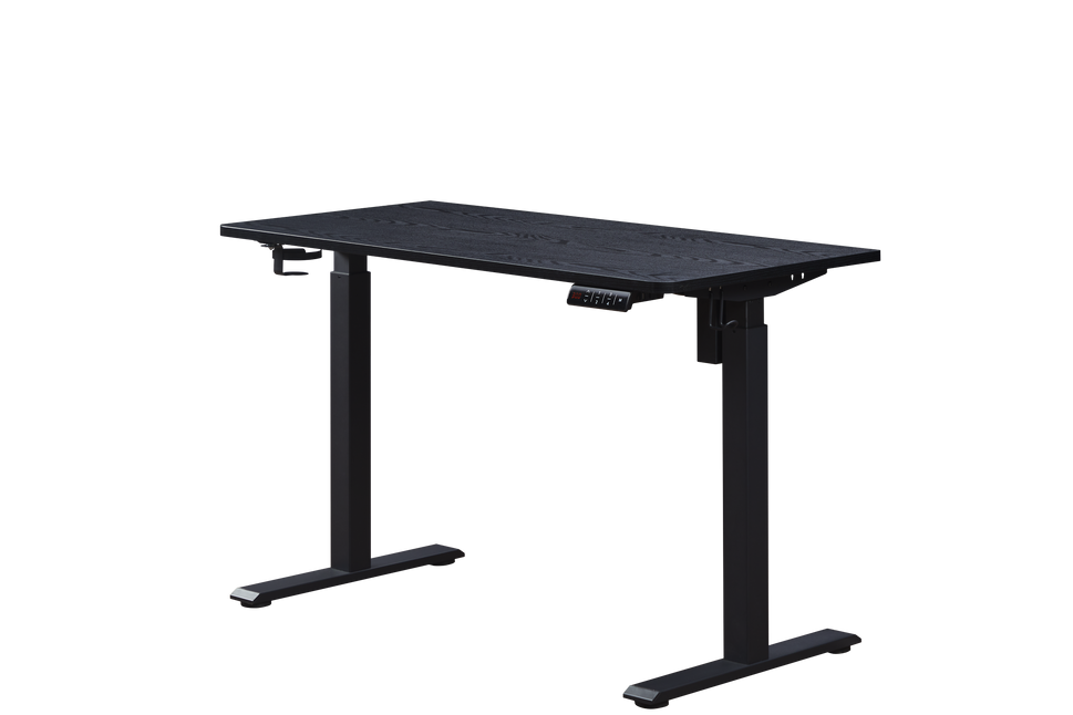 KOWO 48" K304 Electric Height Adjustable Standing Desk, Black