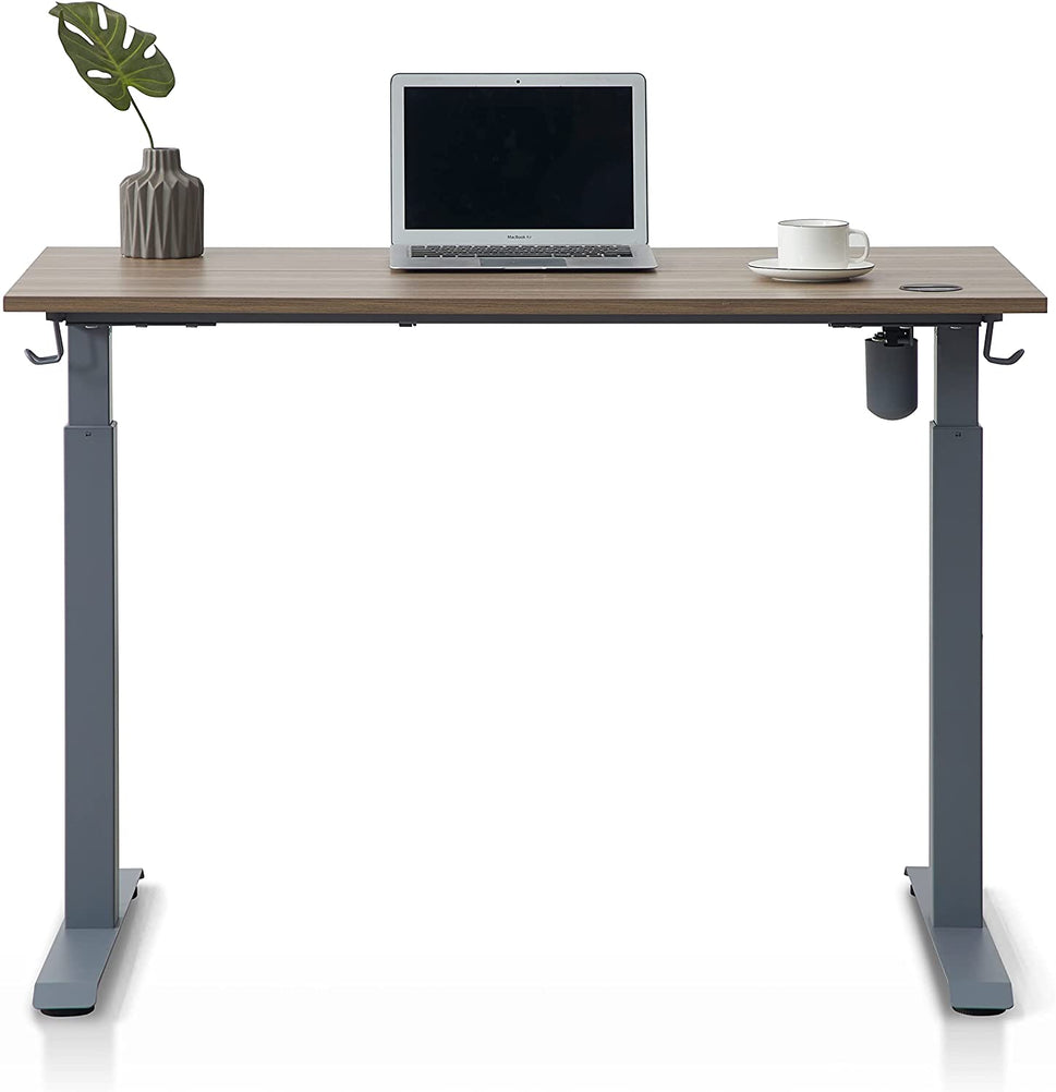 KOWO Electric Height Adjustable Standing Desk, 48" Home Office Wooden Computer Desk Ergonomic Memory Control Workstation Sit Stand Desk, Greige/Grey