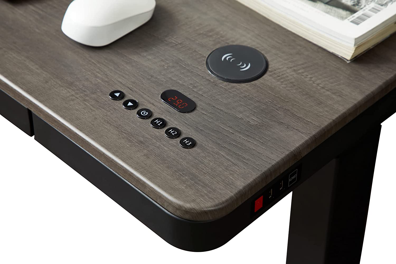 KOWO Electric Standing Desk with Drawers Integrated Wireless Charger, 48" Adjustable Height Whole Piece Desktop Home Office Computer Desk, Grey Oak/Black