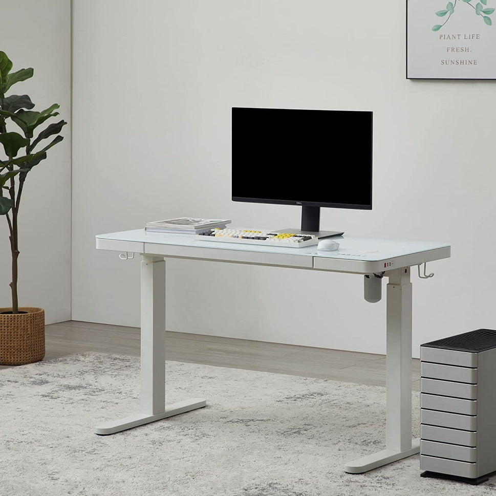 KOWO Glass Electric Standing Desk with Drawer Integrated Wireless Charging, 48 inch Modern Home Office Height Adjustable Desk Sit Stand Desk USB Port, Tempered Glass White