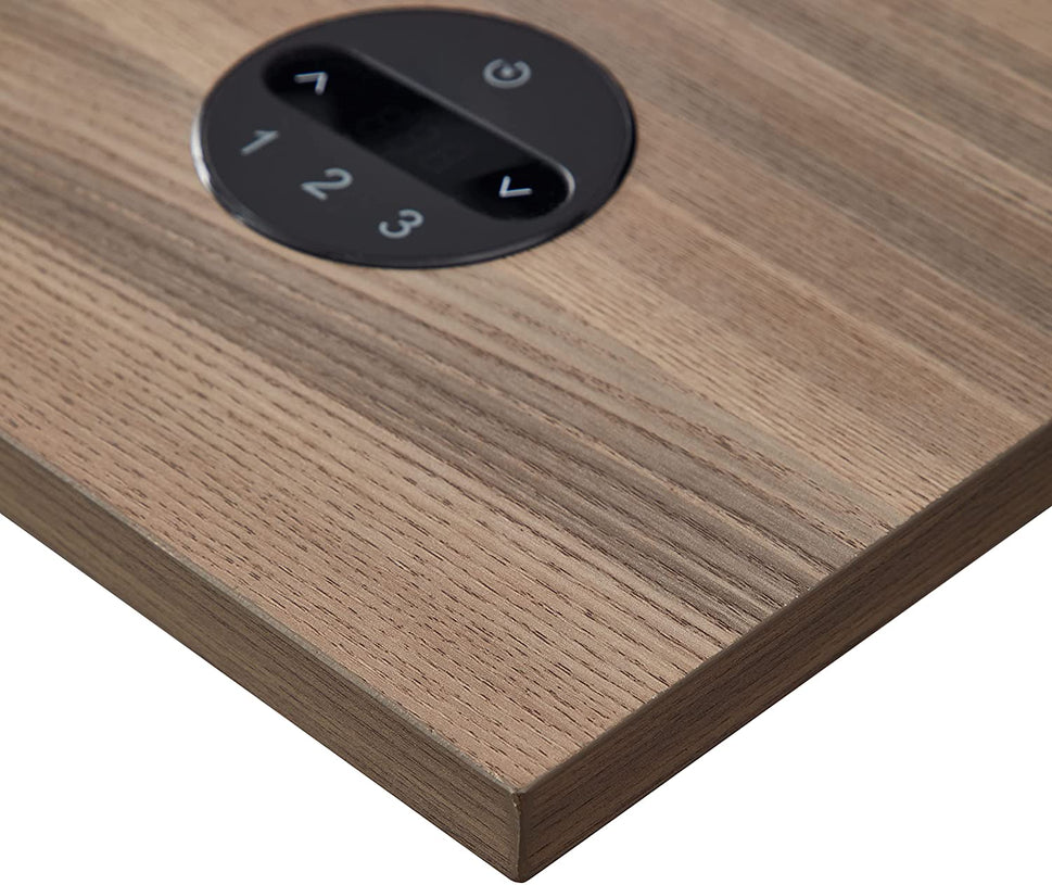 KOWO Electric Height Adjustable Standing Desk, 48" Home Office Wooden Computer Desk Ergonomic Memory Control Workstation Sit Stand Desk, Greige/Grey