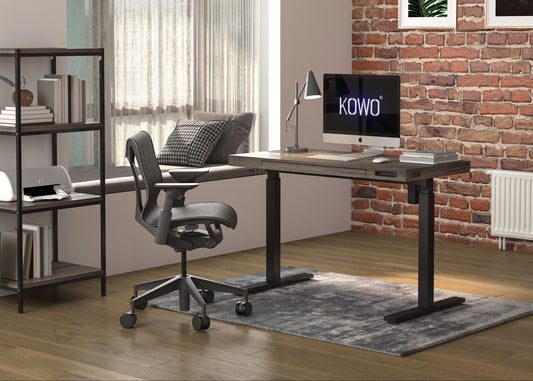 KOWO Electric Height Adjustable Standing Desk with Drawer, 48" Home Office Wooden Computer Desk Ergonomic Memory Control Workstation Sit Stand Desk, Grey Oak/Black