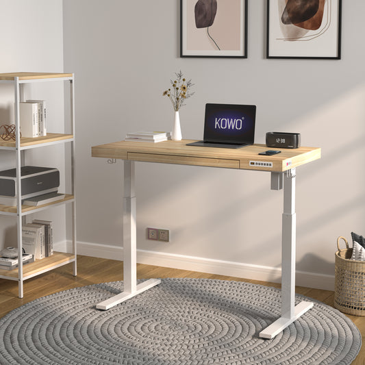 KOWO Electric Height Adjustable Standing Desk with Drawer, 48" Home Office Wooden Computer Desk Ergonomic Memory Control Workstation Sit Stand Desk, Natural/White