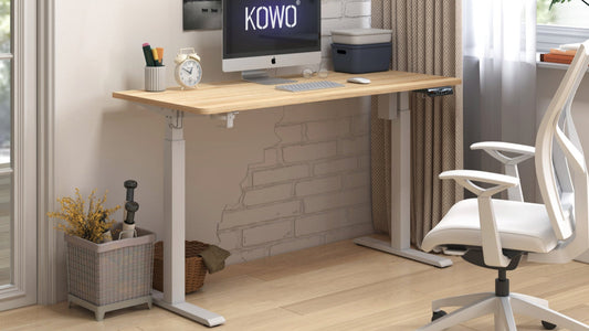 KOWO 55" K304 Electric Height Adjustable Standing Desk, Natural/White