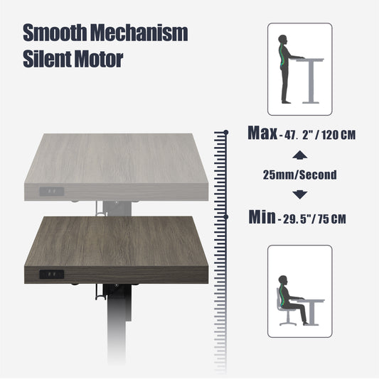 KOWO 48" K305 Electric Height Adjustable Standing Desk, Grey Oak
