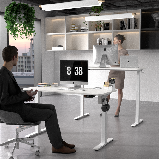 KOWO 48" K3041 Electric Height Adjustable Standing Desk White