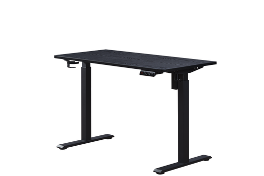 KOWO 48" K304 Electric Height Adjustable Standing Desk, Black