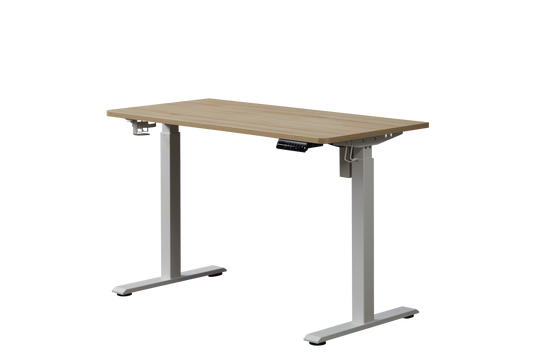 KOWO 48" K304 Electric Height Adjustable Standing Desk, Natural/White