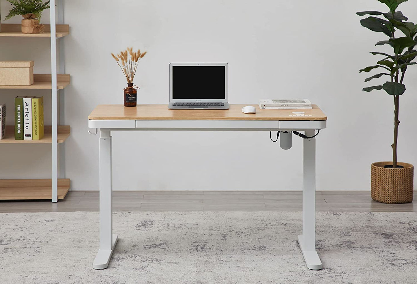 KOWO Electric Standing Desk with Drawers Integrated Wireless Charger, 48" Adjustable Height Whole Piece Desktop Home Office Computer Desk, Natural/White